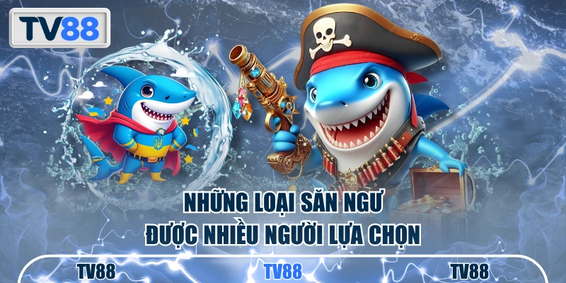 Những loại săn ngư được nhiều người lựa chọn