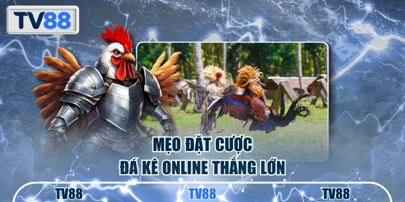 Mẹo đặt cược đá kê online thắng lớn