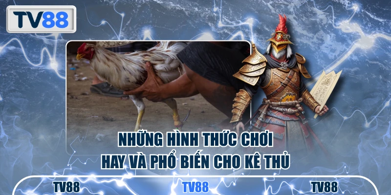 Những hình thức chơi hay và phổ biến cho kê thủ