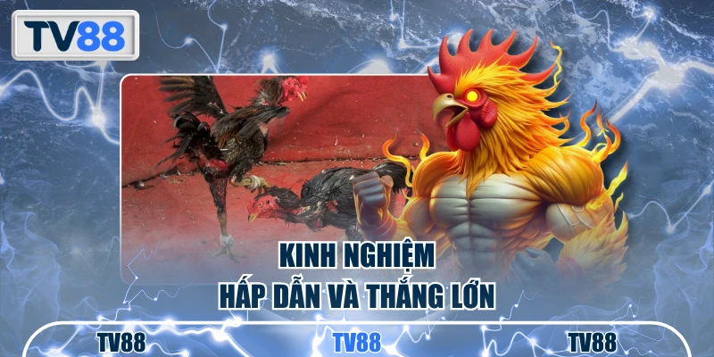 Kinh nghiệm hấp dẫn và thắng lớn