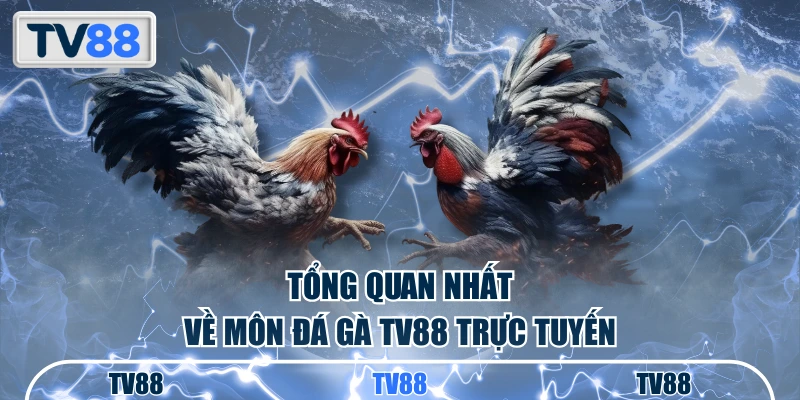 Tổng quan nhất về môn đá gà TV88 trực tuyến