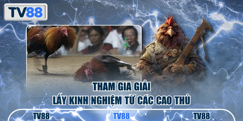 Tham gia giải lấy kinh nghiệm từ các cao thủ