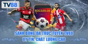 Sảnh bóng đá trực tuyến TV88 uy tín, chất lượng cao