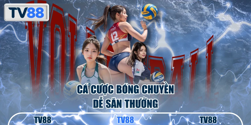 Cá cược bóng chuyền dễ săn thưởng