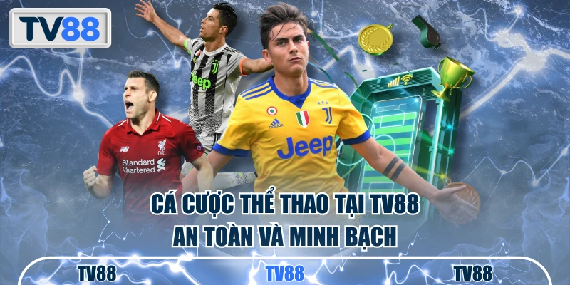 Cá cược thể thao tại TV88 an toàn và minh bạch